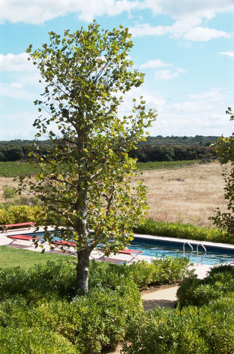 Hotel Chateau & Village Castigno - Wine & Narbonne